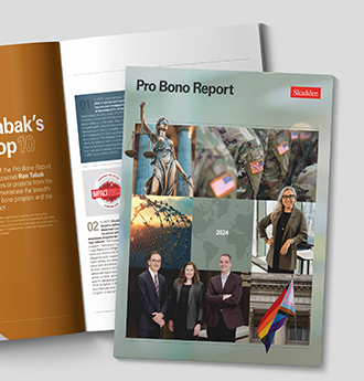 Pro Bono Report Cover Image